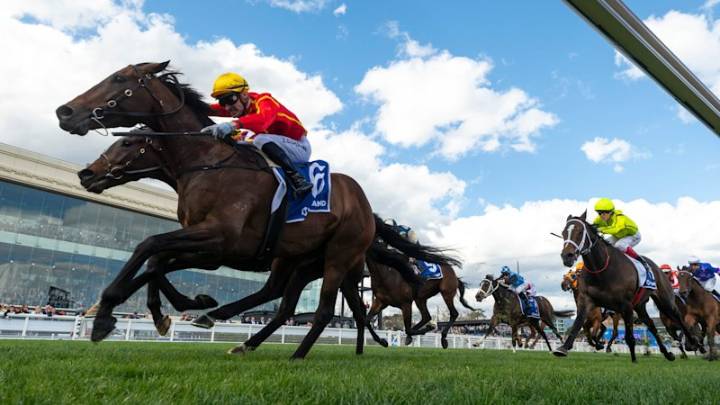 Race-by-race preview and tips for Rosehill on Saturday