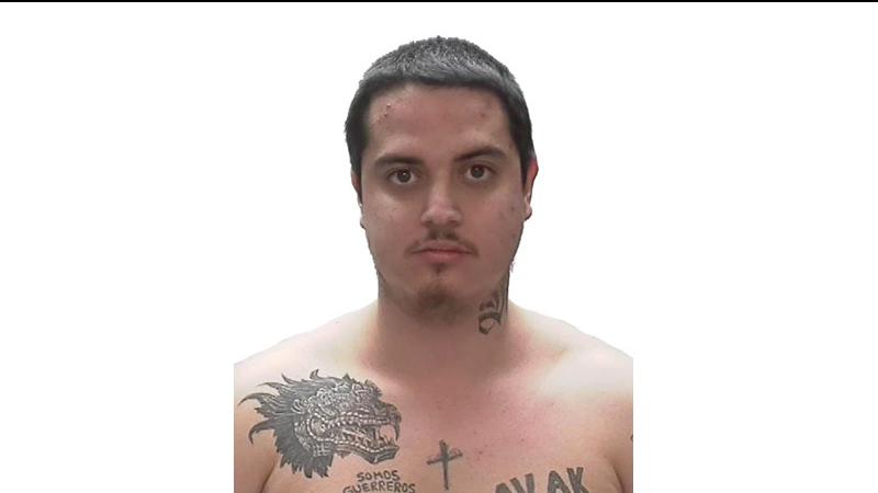 Police continue to seek assistance to locate wanted male