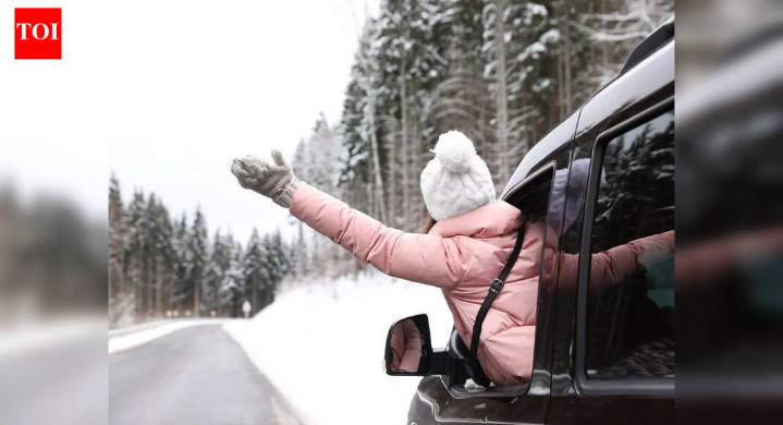 US travel forecast: Deadly Polar Vortex cold may hijack holiday plans in 35 states