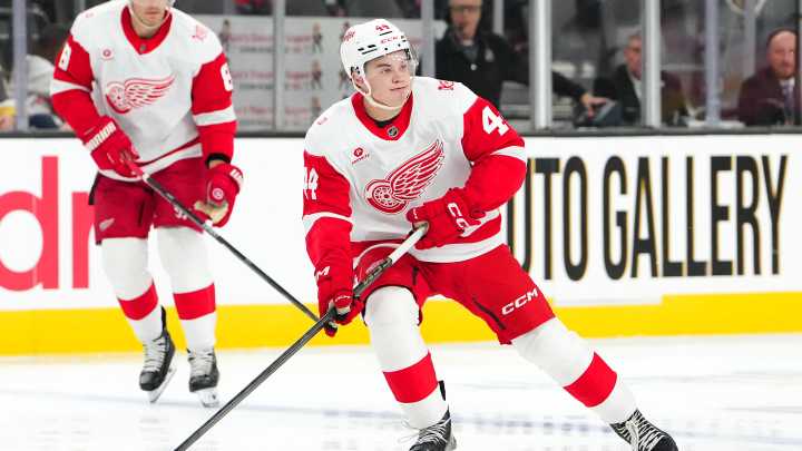 Detroit Red Wings show resiliency in winning first long road trip