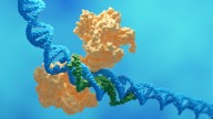CRISPR Restores Chemotherapy Sensitivity in Lung Tumors with NRF2 Mutation