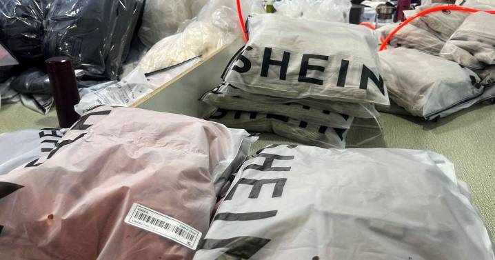 France threatens to ban Shein over ‘childlike sex dolls’