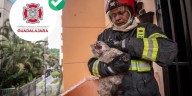 Controlan incendio y rescatan dos gatos en Jardines del Country