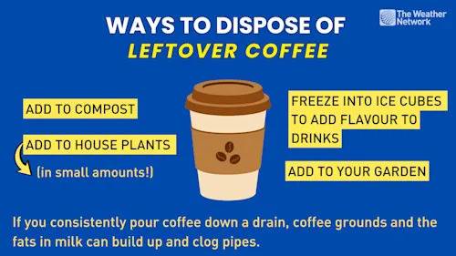 Woman fined for pouring coffee down drain: Here's why you shouldn't do it