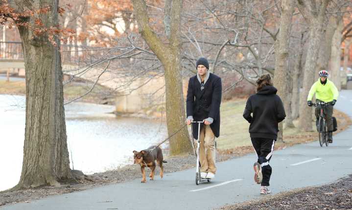 Tom Brady’s New Dog Is a Clone of Pet He Shared With Ex Gisele Bundchen