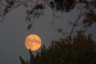 The Stunning Supermoon Brings Autumn’s Beauty To Life