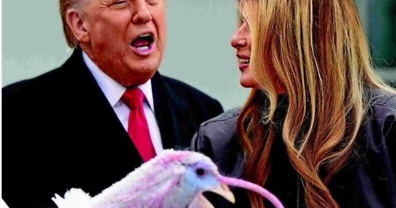 President roasts his political foes