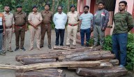Forest Dept Cracks Down On Illegal Timber Trade; Four Arrested In Malkangiri