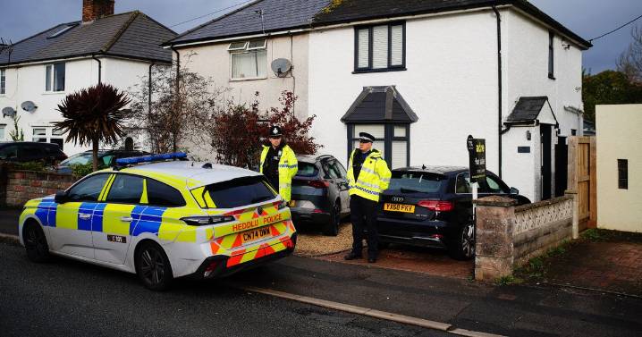 Two arrests after nine-month-old baby boy killed by XL bully in UK village