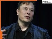 'I will never commit suicide': Elon Musk's shocker