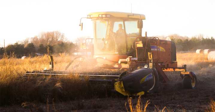 Central Valley farmers feed the world 