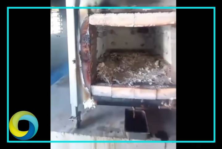 Denuncian sacrificio masivo de perros y gatos en el Centro de Bienestar Animal de Cancún