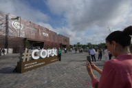 WWF, Greenpeace Demand Roadmap on Deforestation at UN COP30