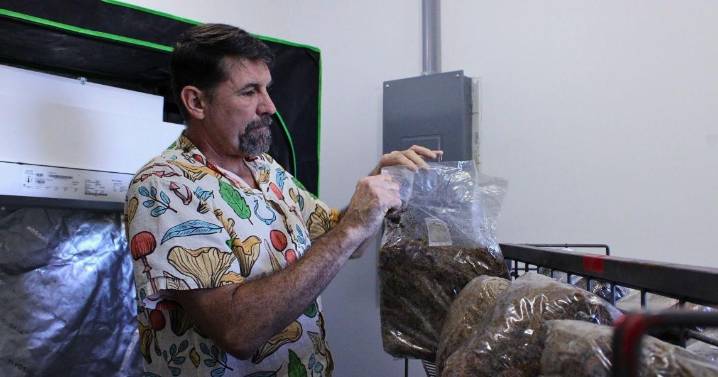 USDA defunded a program that helped Missouri farmers. What’s next for those who relied on it?