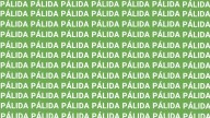 Sólo una mente muy inteligente puede encontrar la palabra 'LÁPIDA' en menos de 5 segundos
