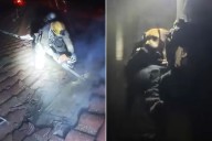 Firefighters Rescue 6 Puppies and 3 Dogs from Dramatic California House Fire