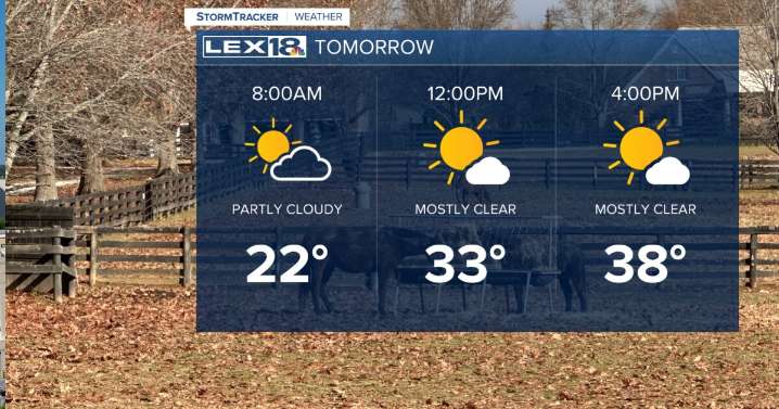 It's Going To Be A Cold Black Friday