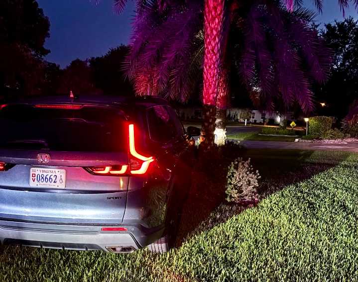 Villager to lose driver’s license after crashing into palm tree