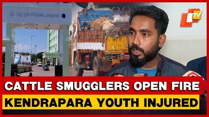 Illegal Cattle Transport Leads To Gunfire In Kendrapada, One Injured