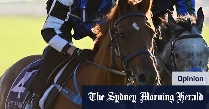 Melbourne Cup 2025: Why Vauban will win the race on his third attempt