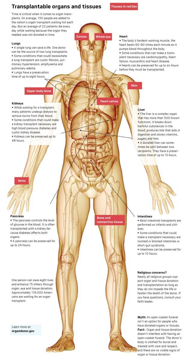 Organ donors: Why California has one of the lowest registration percentages
