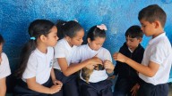 El Zoológico va a la escuela: sensibilizan a niños sobre el cuidado de la fauna y flora