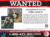 Donations allow for increased reward in Flint animal cruelty case