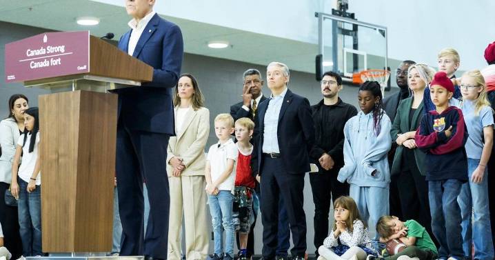 What the federal Liberals are pitching in their 2025 budget