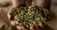 Se liberó el precio de la yerba mate