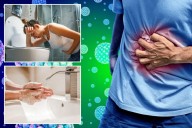 How to protect yourself against the 'winter vomiting disease'