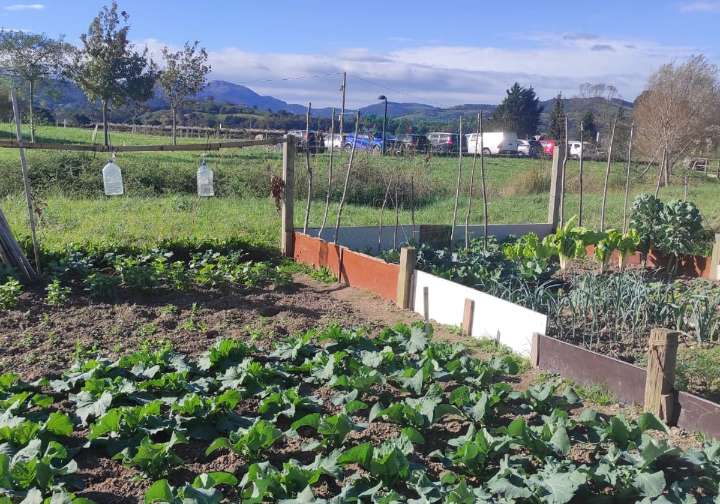 Colindres forma en agricultura ecológica a los usuarios de los huertos municipales