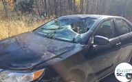Father Of 3 Killed When Tree Falls Onto Car In Chestnut Ridge: Report