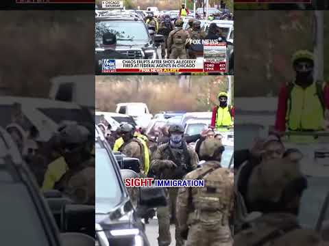 DETAILS: Latin Kings street gang issues MAJOR escalation targeting federal agents #shorts #foxnews