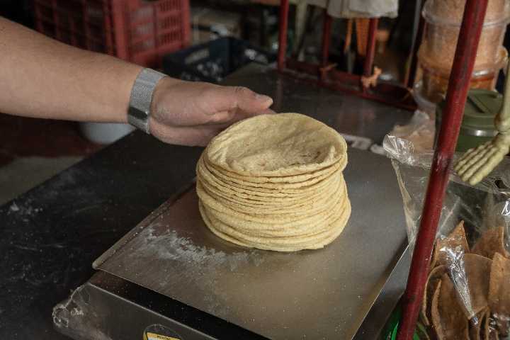 El Acuerdo Nacional Maíz–Tortilla: compromiso del Gobierno de México con el Pueblo.