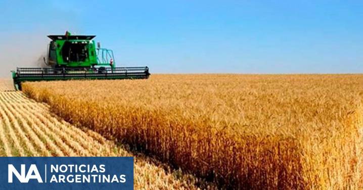 El sector agroexportador liquidó U$S 1.117 millones en octubre