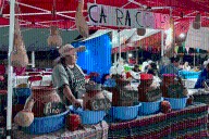 Inician actividades del Festival del Pulque y celebración de Cristo Rey en Ocampo, no te lo pierdas