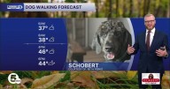 Dog Walking Forecast: Let's cook up some warmer weather!