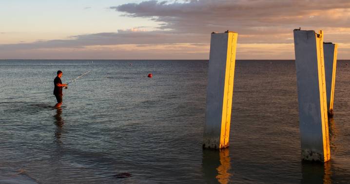 Disaster and insurance costs are rising. The middle class is struggling to hang on