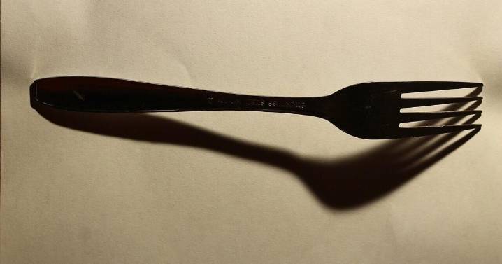 Restaurant inspection blotter for November 13, 2025