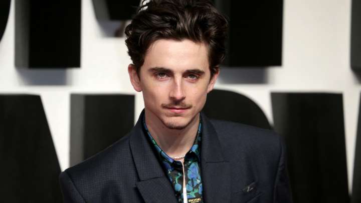 Timothée Chalamet Wants To Remake An Oscar-Winning Denzel Washington Movie