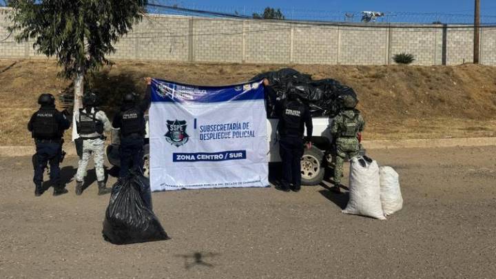 Destruyen narcoplantío en Balleza; decomisan cargamento y Pick up