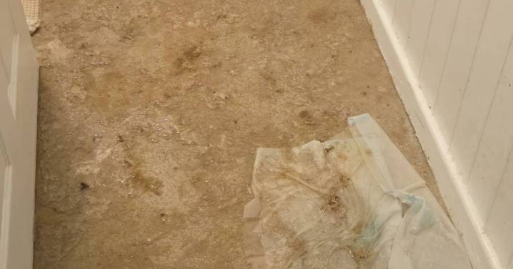 'I returned from holiday in Spain and turned on the lights before making grim find'