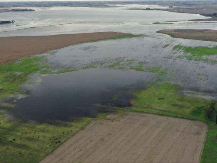 El gobierno de Kicillof anunció que exime del impuesto inmobiliario a los productores afectados por inundaciones