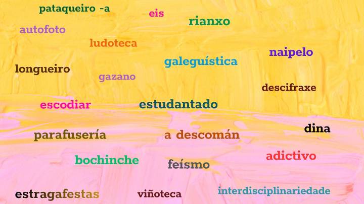 Galicia incorpora 100 nuevas palabras, algunas imposibles de traducir al español