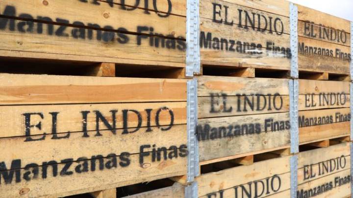 “Manzanas finas El Indio”, una alianza de Balam y productores