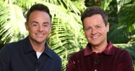 Dec Donnelly sparks 'basically the same' comment after I'm A Celebrity observation made