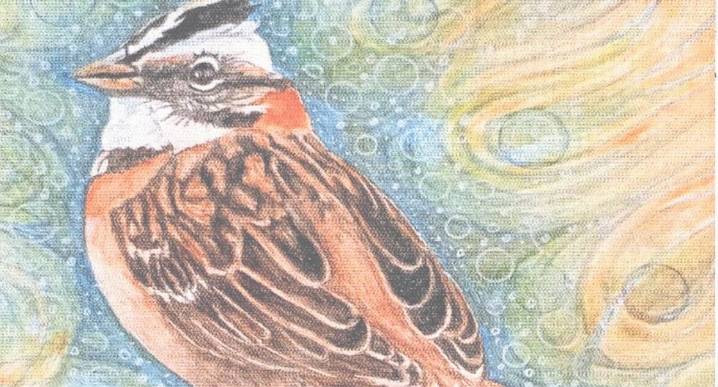 La emblemática edición del “Alfarero”