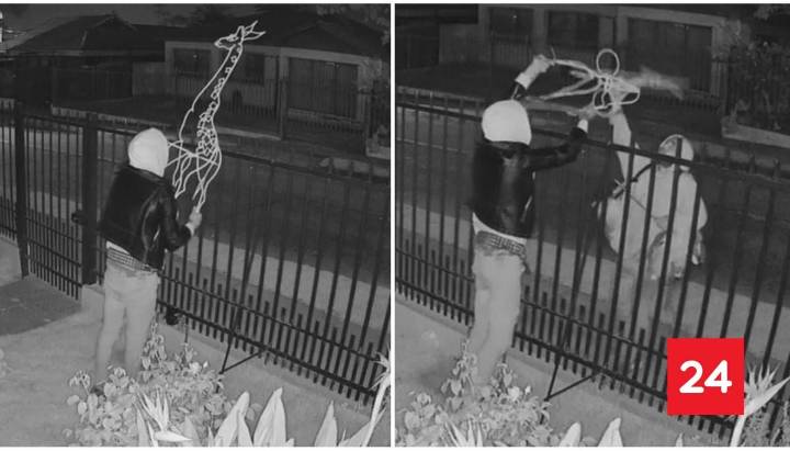 Pareja de delincuentes solo robó adornos de Navidad en casa de La Serena