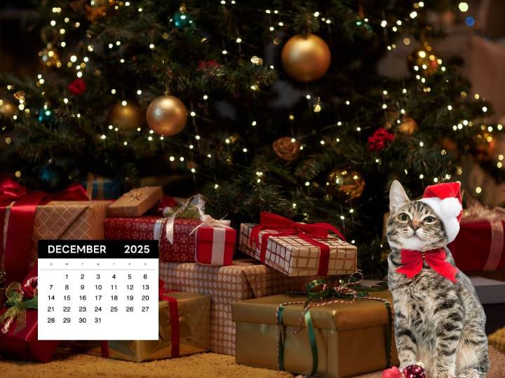 ¿Cuántos días faltan para Navidad 2025? Así va la cuenta regresiva