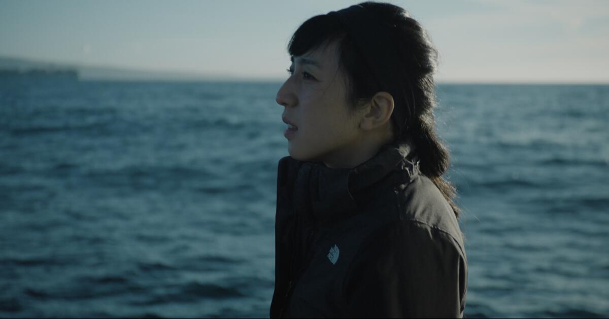 Review: In 'Out of Plain Sight,' a toxic threat off California's coast comes into view